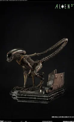 Alien 3 - Dog Alien Statue: Prime 1 Studios