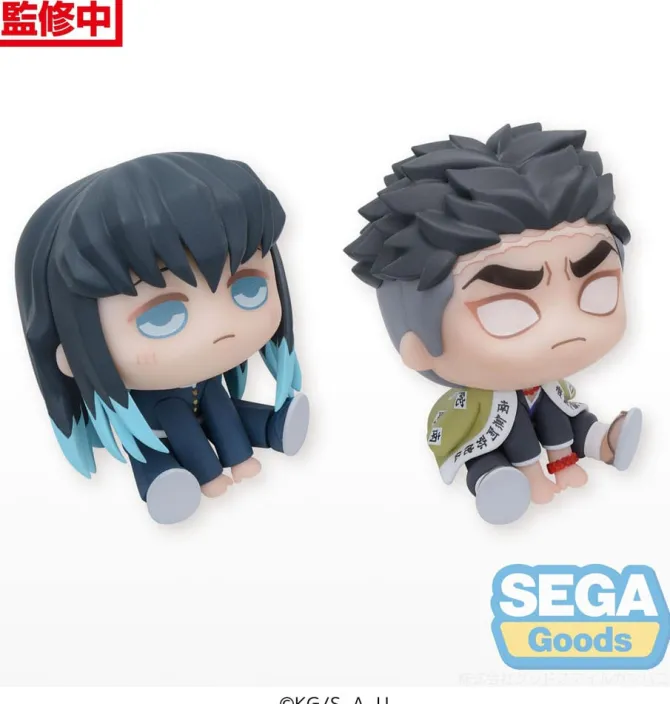 Demon Slayer Kimetsu no Yaiba - Muichiro Tokito ODER Gyomei Himejimae Statue / Chubby Collection: Se