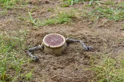 Elden Ring - Alexander Nendoroid : Good Smile Company