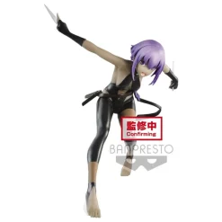 Fate/Grand Order - Hassan of the Serenity Figur: Banpresto