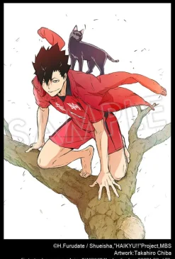 Haikyu!! - Tetsuro Kuroo Statue / ARTFXJ: Kotobukiya