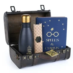 Harry Potter - Geschenkbox Trouble Finds Me: Pyramid International