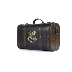 Harry Potter - Geschenkbox Trouble Finds Me: Pyramid International