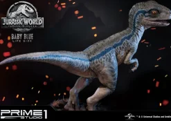 Jurassic World: Fallen Kingdom - Baby Blue Life-Size Statue: Prime 1 Studio