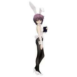 The Melancholy of Haruhi Suzumiya - Yuki Nagato Statue / BiCute Bunnies: Furyu