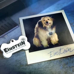 Zurück in die Zukunft - Travel Memories II Expansion Kit: Doctor Collector