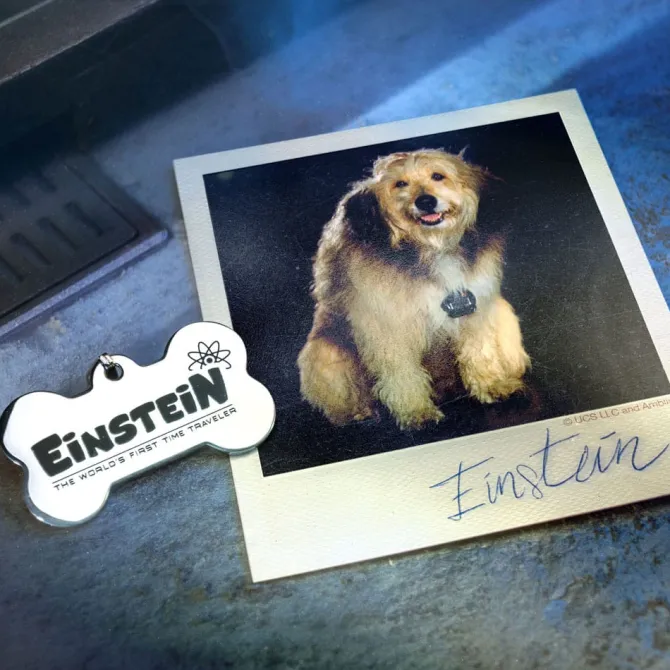 Zurück in die Zukunft - Travel Memories II Expansion Kit: Doctor Collector