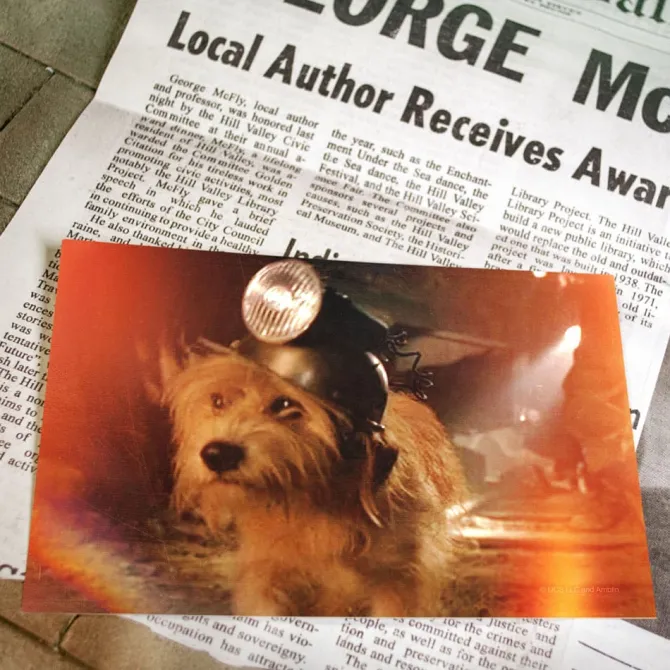 Zurück in die Zukunft - Travel Memories II Expansion Kit: Doctor Collector